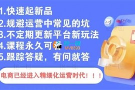 文西《电商课程》