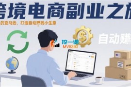 跨境电商副业之旅