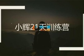 小辉《家居博主21天创富实操课》