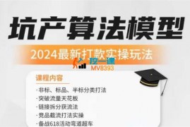 子睿《2024最新坑产算法模型打款玩法系列》