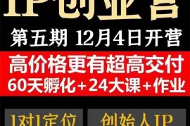 众筹：壮哥IP创‬业营全课