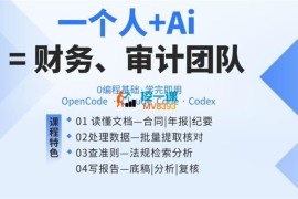 狗哥《AI Agent实战落地课：一人+AI=专业财务、审计团队》