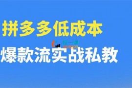 卡卡《拼多多低成本爆款流实战私教课》