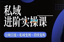 郑鹏飞《私域进阶实操课》