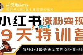 艾敏《19天小红书涨粉变现特训营》