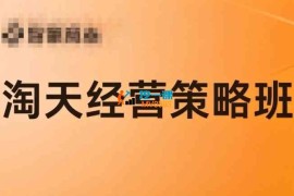 蒋太帅《淘宝天猫经营策略班6月12-13线下课》