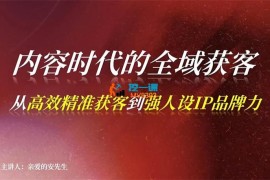 亲爱的安先生《内容时代的全域获客》