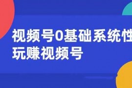0基础系统性玩赚视频号内容运营+引流+快速变现