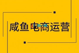 周老师《精细化咸鱼电商运营》