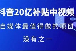 星哥《单号月入3万抖音中视频项目》