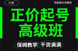 大致《保姆级正价起号详细教程》