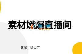 徐大可《视频号直播底层逻辑和投放计划》