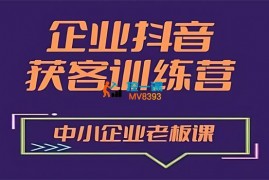 秦文《企业抖音营销获客增长训练营》