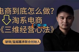 破晓《淘系电商三维经营心法》