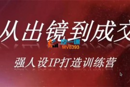安先生《从出镜到成交强人设IP打造训练营》