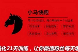 小马快跑引流培训高级课