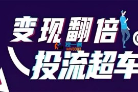 全域营销《变现翻倍投流超车》