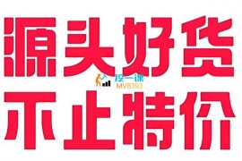 安影《2023淘特无货源系统》