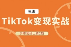 龟课《TikTok变现实战训练营线上第2期》