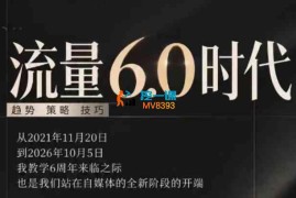 安先生《流量6.0时代的趋势、策略、技巧》