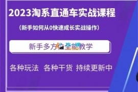 凡哥《2023淘系直通车实战课程》
