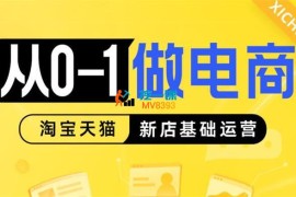 非凡《从0-1做电商新店基础运营》