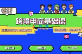 流量玩家《TikTok跨境电商基础课》