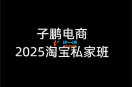 子鹏讲电商《淘宝私家班25年12月》