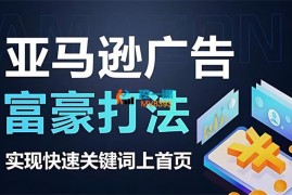 Bella《亚马逊广告富豪打法》