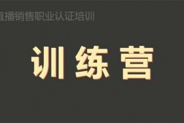 众筹：直播销售员线下就业班
