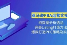 老陈《亚马逊FBA运营实操课》