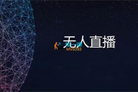 日不落《2025无人直播带货》