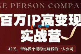 桃子《百万IP高变现实战营》