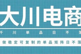 众筹：大川电商·千川单品日不落