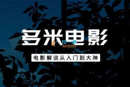 多米电影《电影解说从入门到大神》