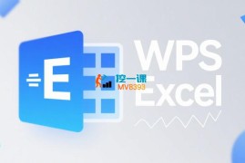 夏老师《Wps/Excel办公精讲课》