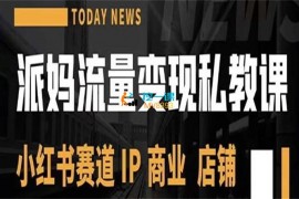 派妈《流量变现私教课》