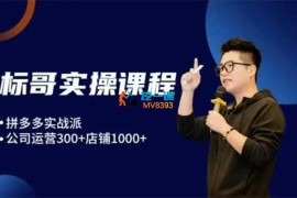 标哥电商《拼多多飞龙在天玩法》