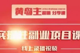 黄岛主《实操性小红书副业项目》