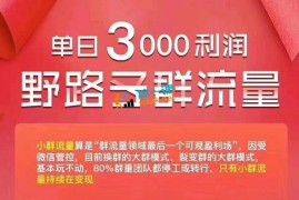 单日3000利润 野路子群流量