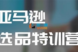 麦克《亚马逊选品实操课程》