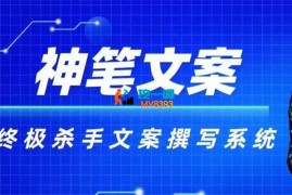 李炳池《终极杀手文案撰写系统》