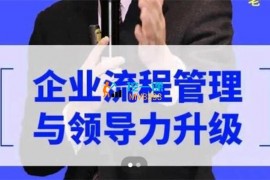 章义伍《领导力升级与企业流程管理》