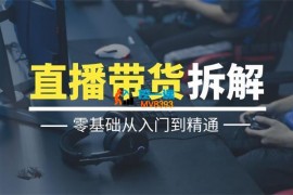 东哥《2024抖音直播带货直播间拆解》