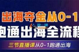 交个朋友《出海夺金从0-1跑通出海全流程》