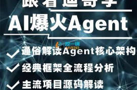 迪哥《2024Ai必会Agent应用解读+项目实战》