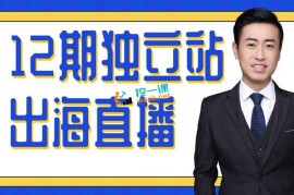 众筹：2020年独立站运营打法
