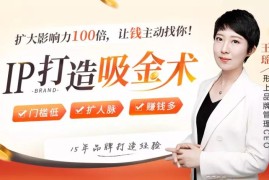 王瑶《IP打造吸金术：让钱主动找你》