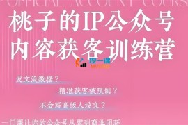 桃子《IP公众号内容获客训练营第3期》