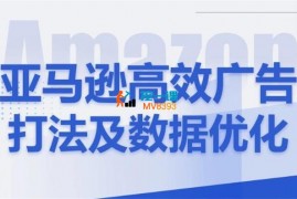 Jason《亚马逊高效广告打法及数据优化》